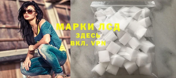 стафф Елизово