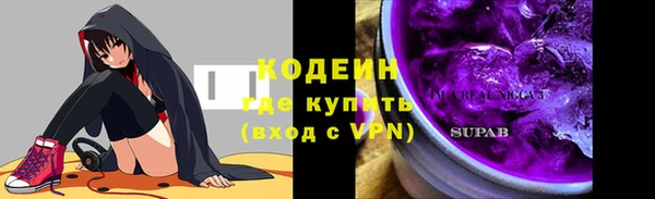 PSILOCYBIN Ельня