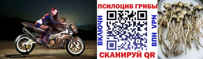 omg   что такое   Ноябрьск  Галлюциногенные грибы ЛСД 